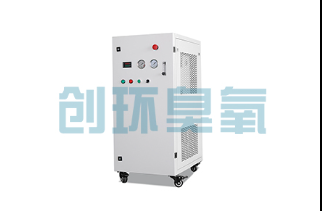 信阳工厂化养鲈必看:2026年臭氧发生器替代传统消毒的最新方案