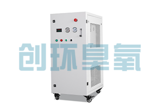 信阳石斑鱼养殖水质调控完整指南:臭氧发生器配置与操作步骤