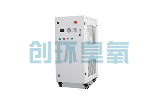 信阳比传统换水更高效?臭氧发生器在石斑鱼养殖中的水质净化原理解析